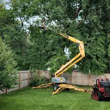 Best Palm Tree Trimming  in Monmouth Junction, NJ
