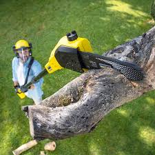  Monmouth Junction, NJ Tree Services Pros