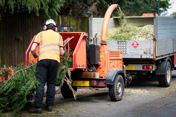 Best Utility Line Clearance  in Monmouth Junction, NJ