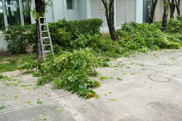 Best Arborist Consultation Services  in Monmouth Junction, NJ